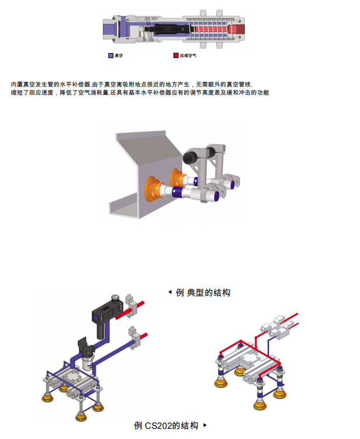 cs202系列